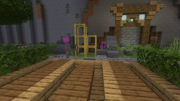 More Server Images