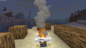 Birch campfire & Ducks