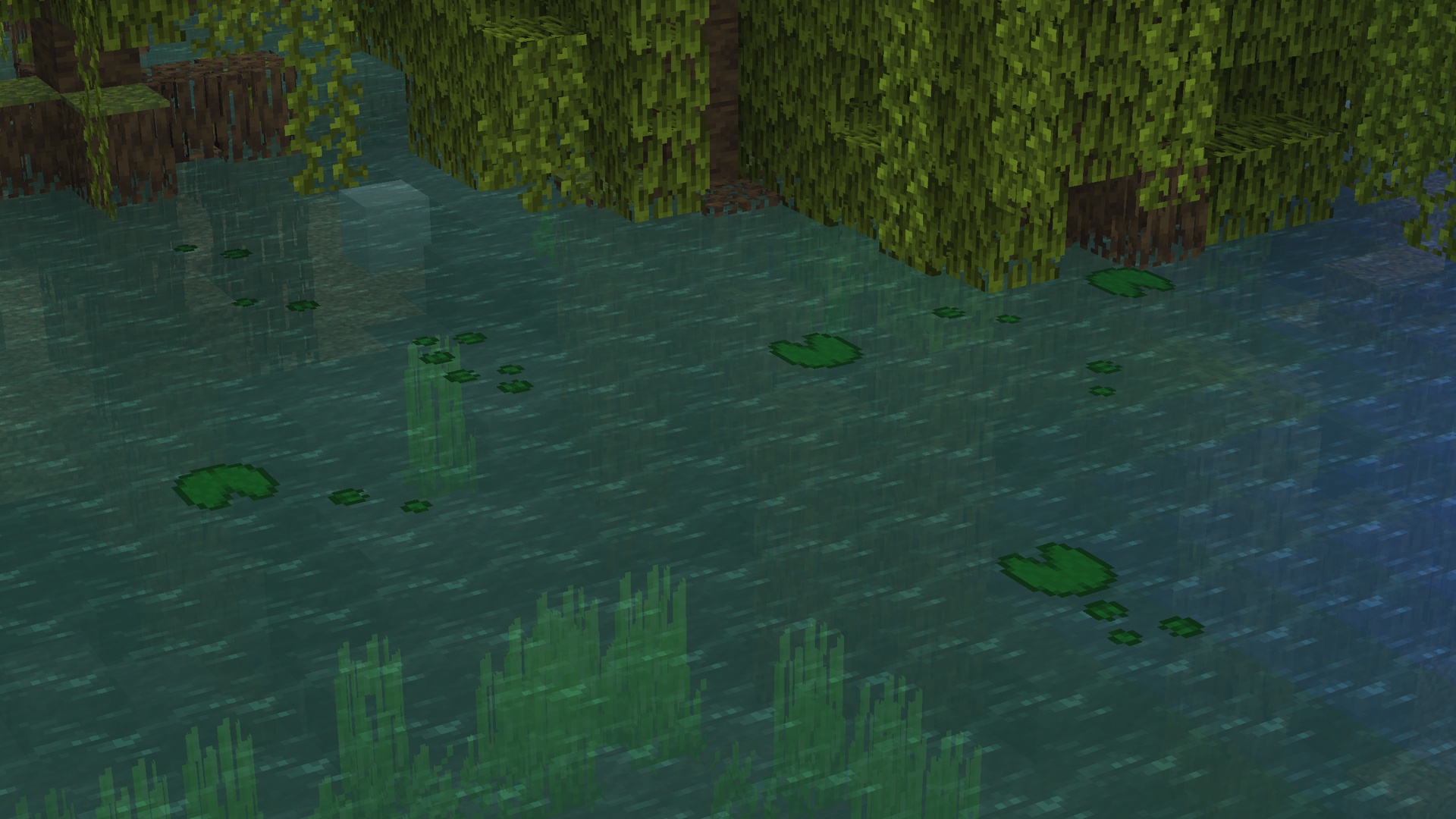 Lily Pads
