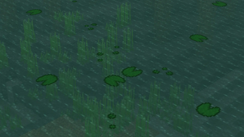 More Lily Pads