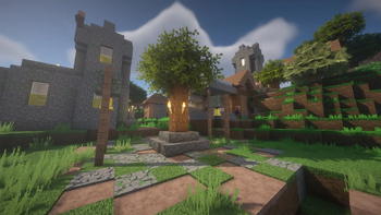 Village