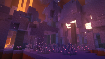 Warped Biome