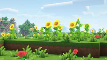 Sunflower Fields