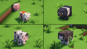Pig Variants