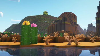 Desert
