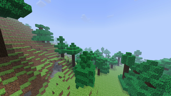 Forest.
