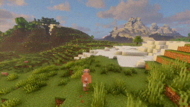 HXS's_Animation_Optimization