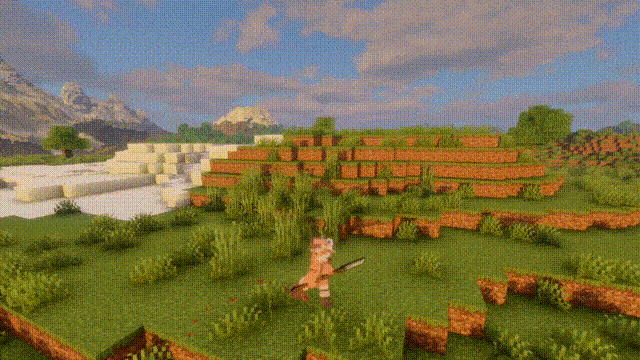 HXS's_Animation_Optimization