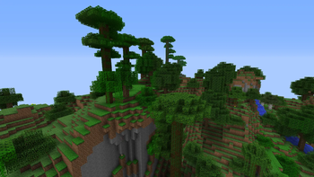 Jungle in beta terrain