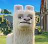 The Llama Administration