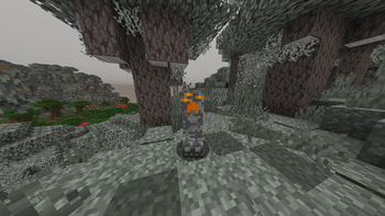 Pale Creeper