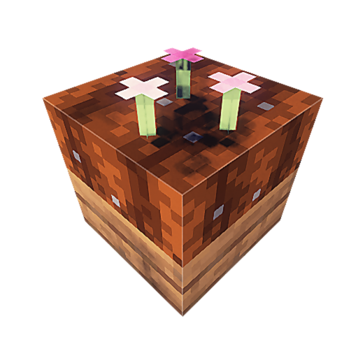 Fei's Planter Boxes