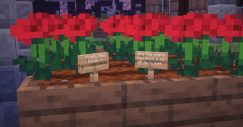 You can put signs in planters! Isn't it cute!!