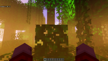 Shader