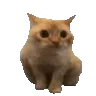 Barebones Enhanced Ultimate