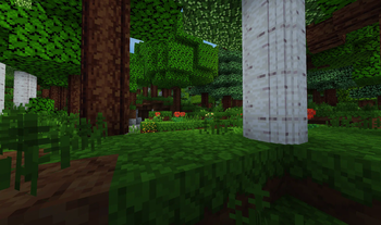 Flower Forest
