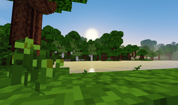 Sunrise
