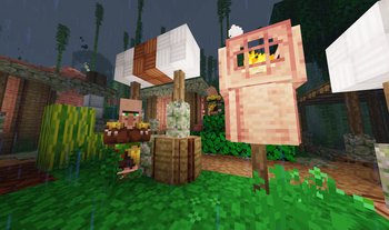 Villager