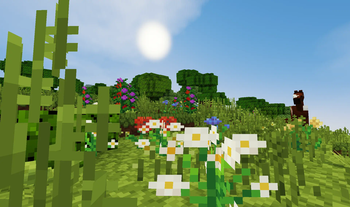 Plains Field