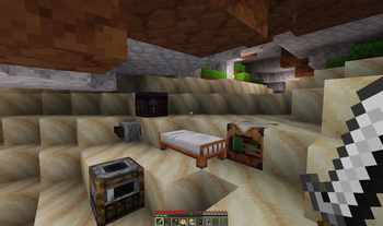 Survival Cave