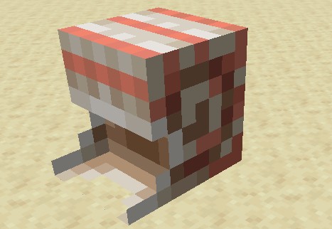 Nautilus Shell