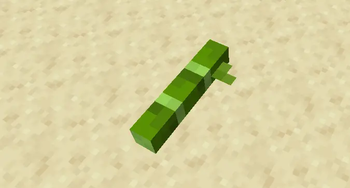 Bamboo