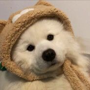 SleepyDN