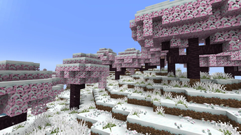 Cherry Blossom Biome