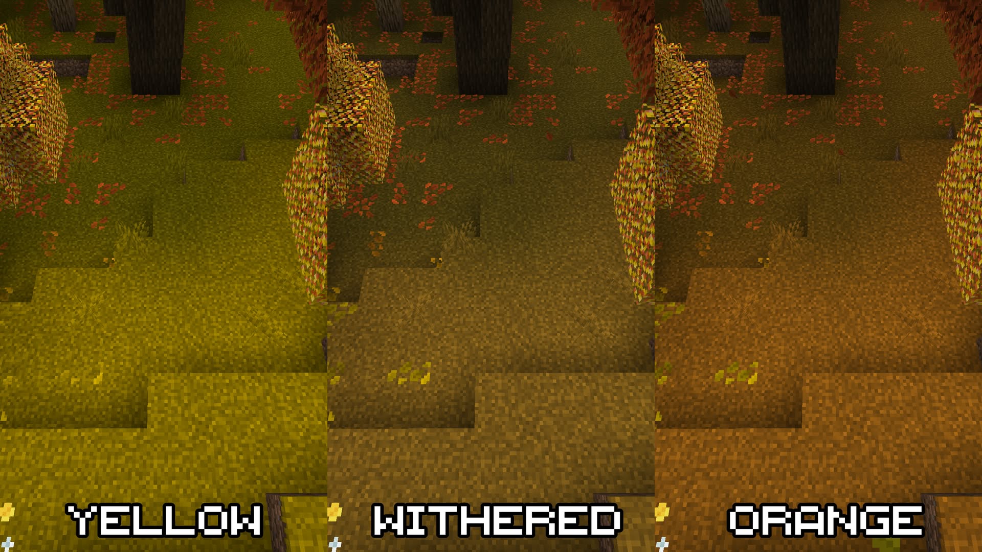 Grass_comparison_en