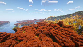 View 4. Complementary shaders, noon