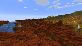 View 4. No shaders, noon