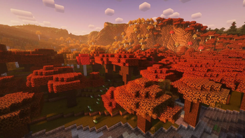 View 5. Complementary shaders, dusk