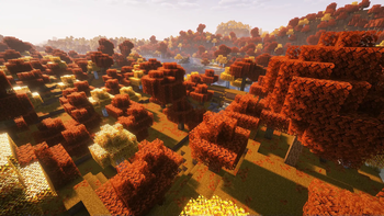 Withered grass, Regular birch + shaders