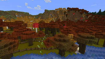 View 5. No shaders, noon