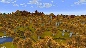 Yellow grass, Regular birch