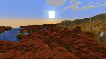 View 4. No shaders, noon