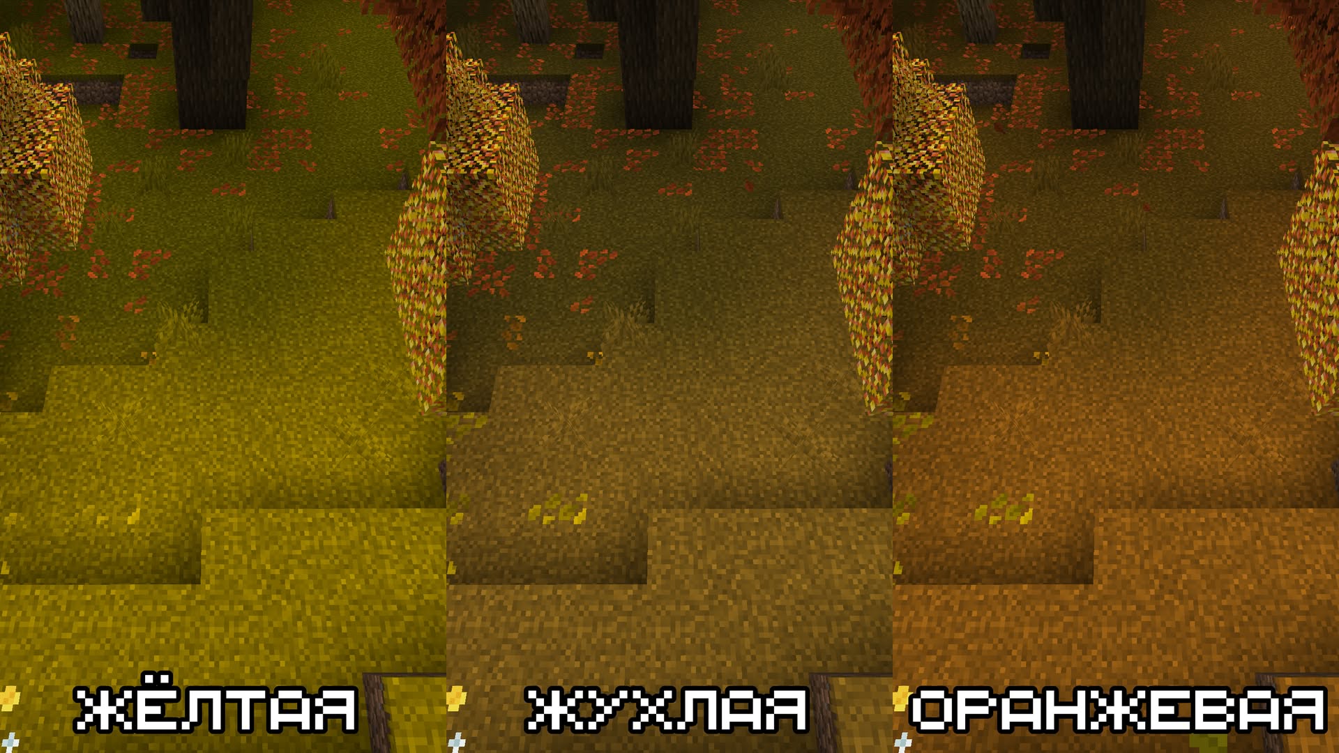 Grass_comparison_ru