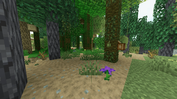 Peaceful Forest