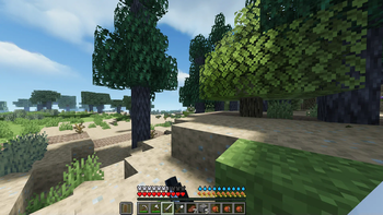 Desert Trees