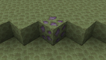 Endernium Ore