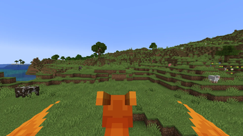 PokeRider — screenshot 2