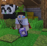 The_To_Craft