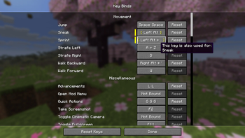 Key Binds Screen