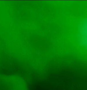 Green Resourspacks