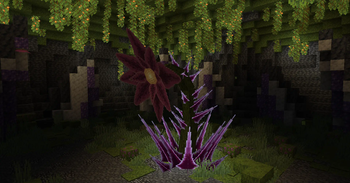 New Bosses