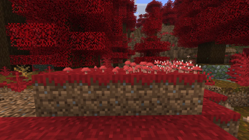 spikeshroom food