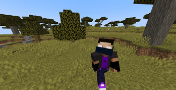 ProPlayerXD