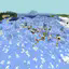 permafrost biome