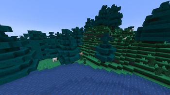 Pine Forest