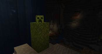 That's not a Creeper...